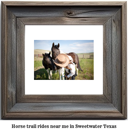 horse trail rides near me in Sweetwater, Texas